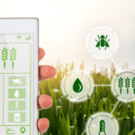 Agri-Fintech Startup Ayekart Raises $5.5 Mn In Debt & Equity To Fuel Growth